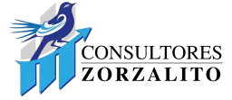 Consultores Zorzalito