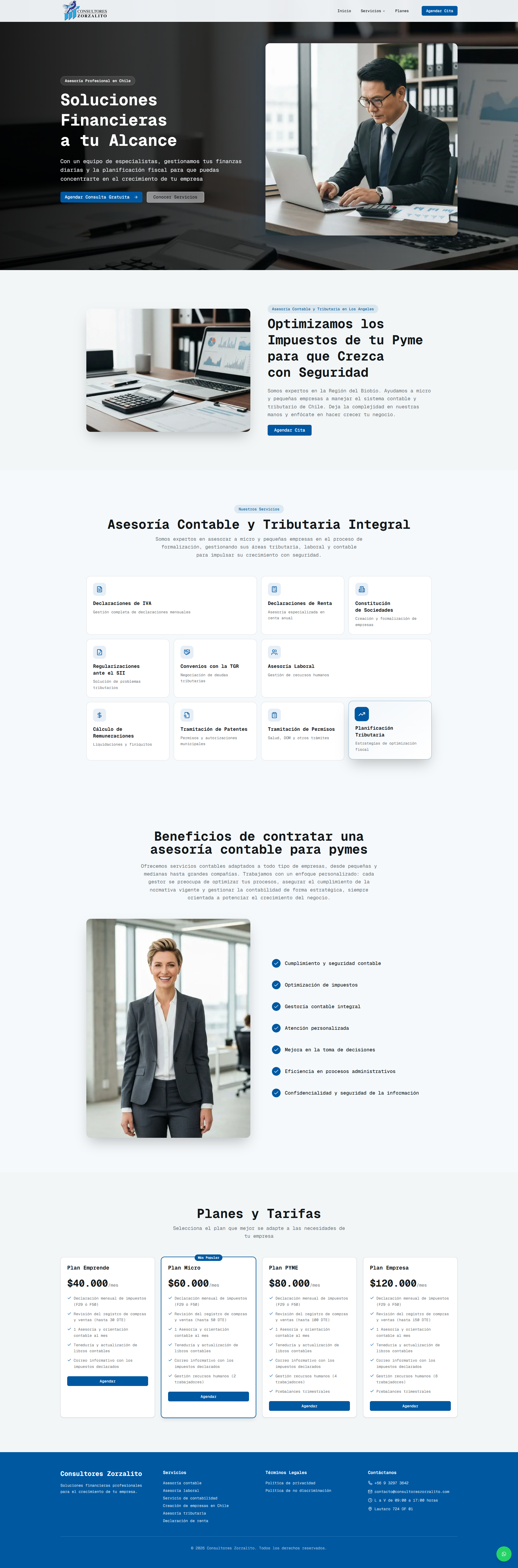 Consultores Zorzalito